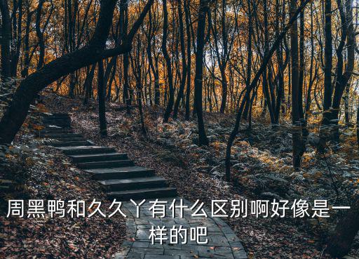 久久丫，久久丫口碑怎么樣