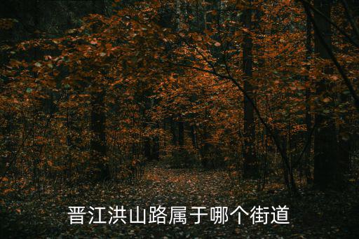洪山路，上海洪山路屬于外環以內中環以內還是內環以內急