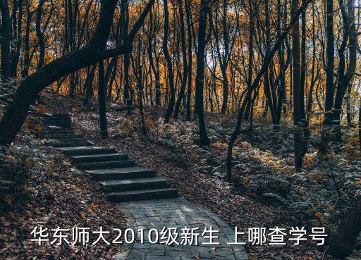 華東師大2010級(jí)新生 上哪查學(xué)號(hào)