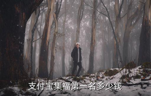 支付寶集福，支付寶集福第一名多少錢