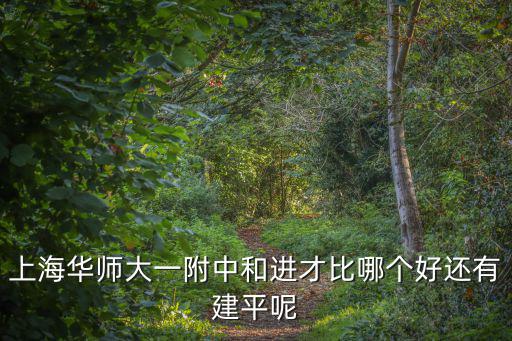 上海華師大一附中和進(jìn)才比哪個(gè)好還有建平呢