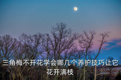 三角梅不開(kāi)花學(xué)會(huì)哪幾個(gè)養(yǎng)護(hù)技巧讓它花開(kāi)滿枝
