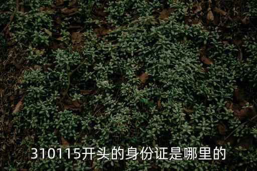 310115開頭的身份證是哪里的