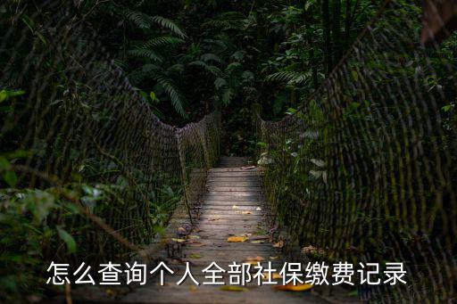 怎么查詢個人全部社保繳費記錄