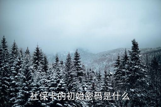 社保卡的初始密碼是什么