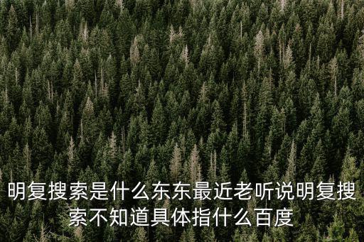 明復搜索是什么東東最近老聽說明復搜索不知道具體指什么百度