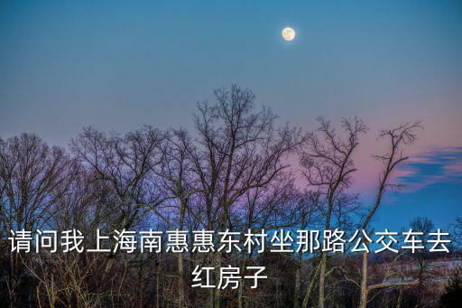 請問我上海南惠惠東村坐那路公交車去紅房子