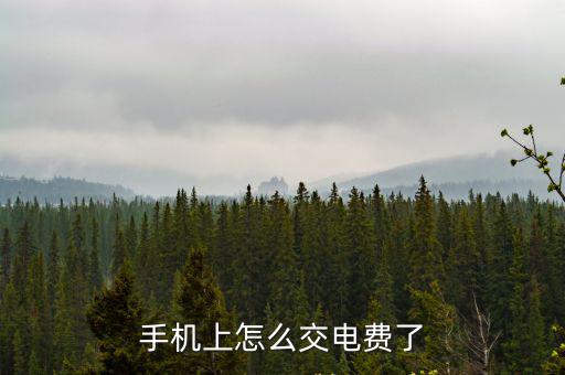 手機(jī)上怎么交電費(fèi)了