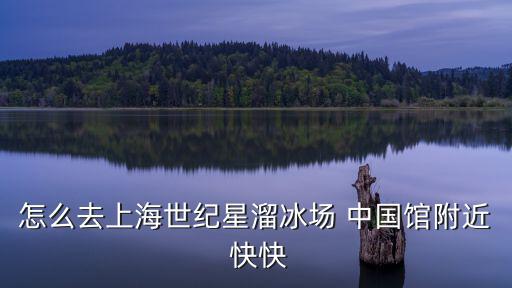 怎么去上海世紀星溜冰場 中國館附近 快快