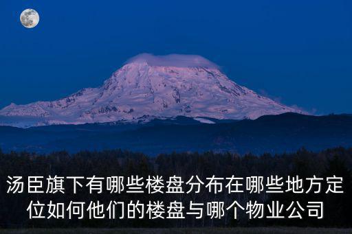 湯臣旗下有哪些樓盤分布在哪些地方定位如何他們的樓盤與哪個(gè)物業(yè)公司