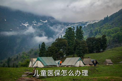 兒童醫保怎么辦理