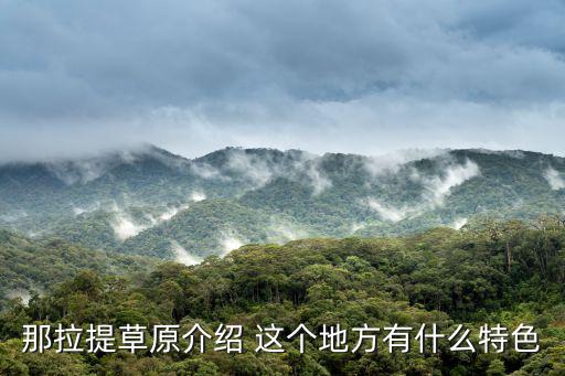 那拉提草原介紹 這個地方有什么特色