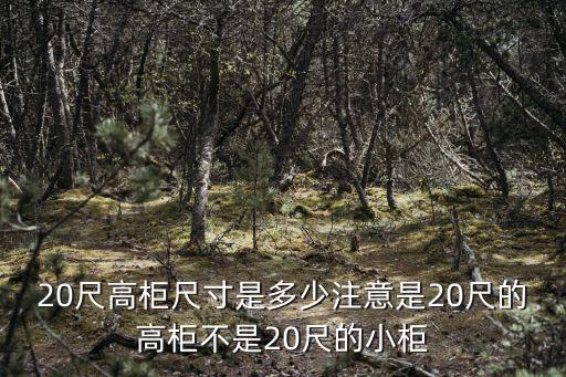 20尺柜尺寸，20尺高的柜尺寸是多少