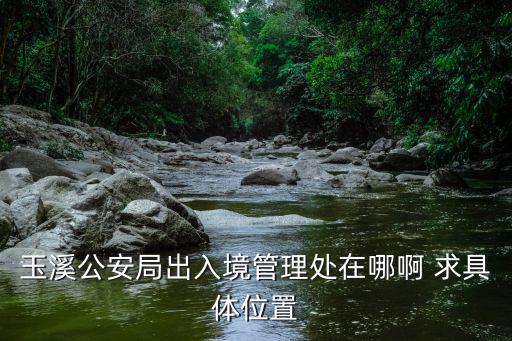 玉溪公安局出入境管理處在哪啊 求具體位置