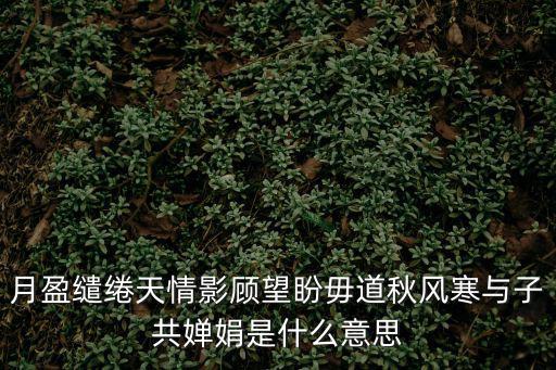 月盈繾綣天情影顧望盼毋道秋風寒與子共嬋娟是什么意思