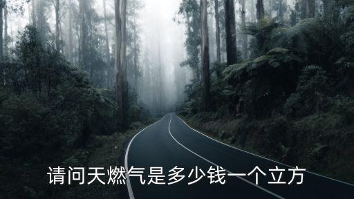 一方天然氣多少錢，天然氣一個氣多少錢