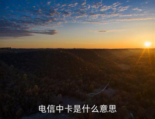 電信中卡是什么意思
