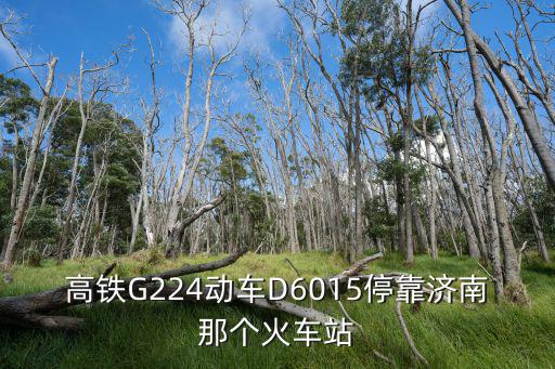 高鐵G224動車D6015停靠濟南那個火車站