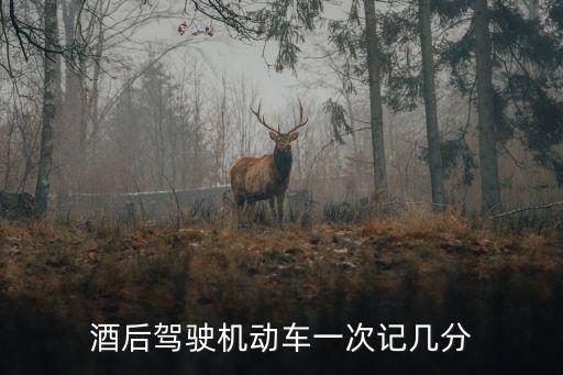 酒后駕駛機(jī)動(dòng)車一次記幾分