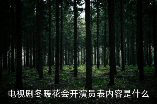 電視劇冬暖花會開演員表內容是什么