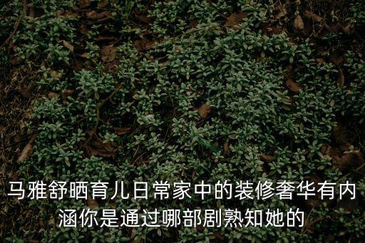 馬雅舒曬育兒日常家中的裝修奢華有內涵你是通過哪部劇熟知她的