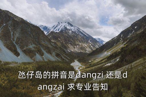 澳門氹仔怎么讀音，氹仔島的拼音是dangzi 還是dangzai 求專業告知