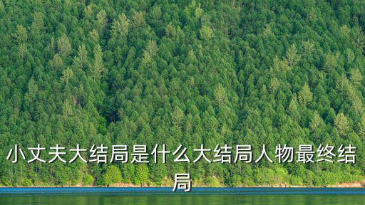 小丈夫大結局是什么大結局人物最終結局