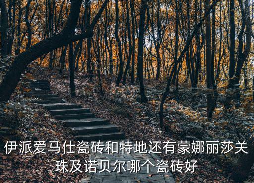 伊派愛馬仕瓷磚和特地還有蒙娜麗莎關珠及諾貝爾哪個瓷磚好