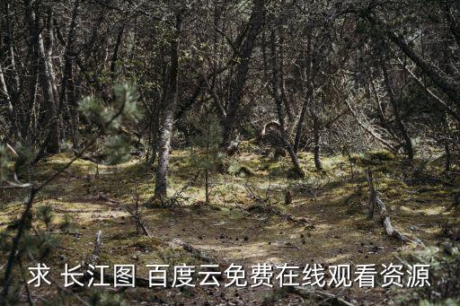 長江圖，長江圖刪了什么