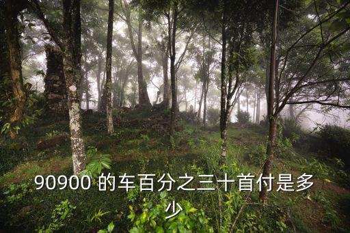 90900 的車百分之三十首付是多少