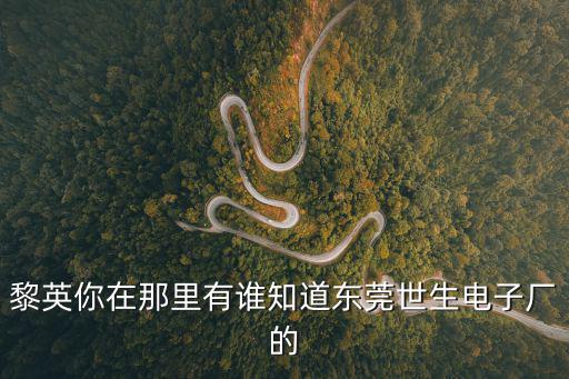 黎英你在那里有誰知道東莞世生電子廠的
