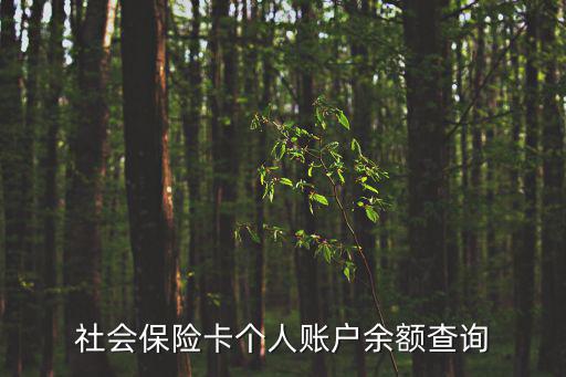 社會保險卡個人賬戶余額查詢