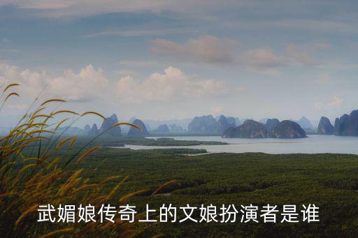文娘，電視劇范冰冰版武則天里面的文娘是怎么死的