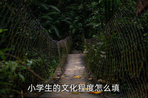 文化程度怎么填寫(xiě)，小學(xué)生的文化程度怎么填