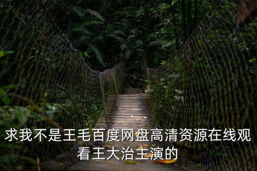 求我不是王毛百度網盤高清資源在線觀看王大治主演的