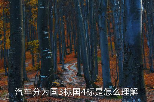 國三標準，國三標準和國二標準什么區別那個好一些啊