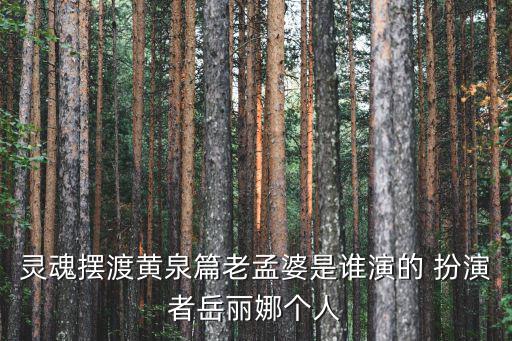 靈魂擺渡黃泉篇老孟婆是誰演的 扮演者岳麗娜個人