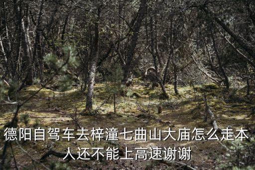 德陽(yáng)自駕車去梓潼七曲山大廟怎么走本人還不能上高速謝謝