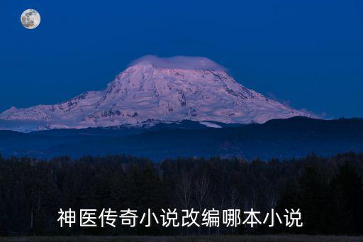 神醫(yī)傳奇小說改編哪本小說
