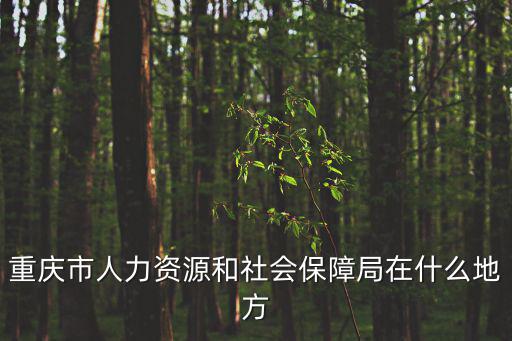 重慶市人力資源和社會，重慶市人力資源和社會保障局在什么地方