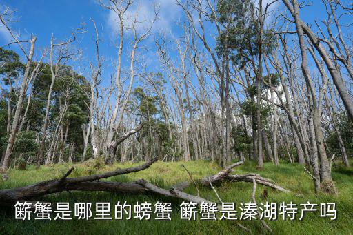 籪蟹是哪里的螃蟹 籪蟹是溱湖特產嗎