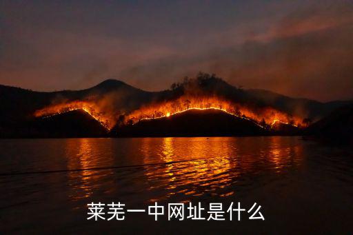 萊蕪一中網(wǎng)址是什么