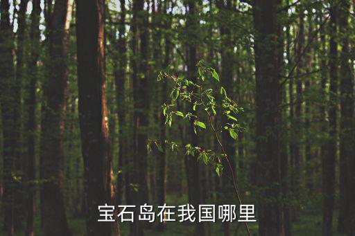 寶石島在我國哪里