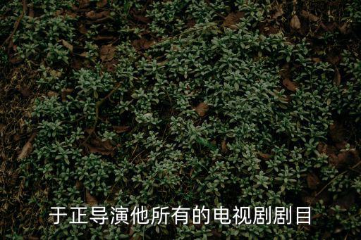 于正導演他所有的電視劇劇目