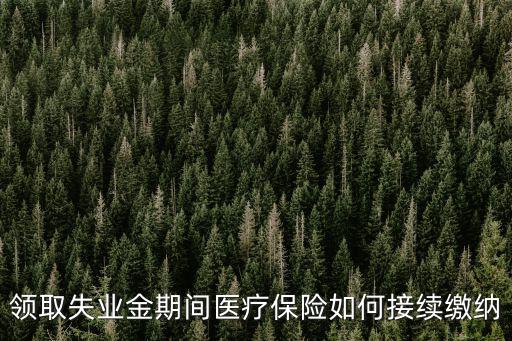 領取失業金期間醫療保險如何接續繳納