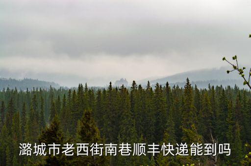 潞城市老西街南巷順豐快遞能到嗎