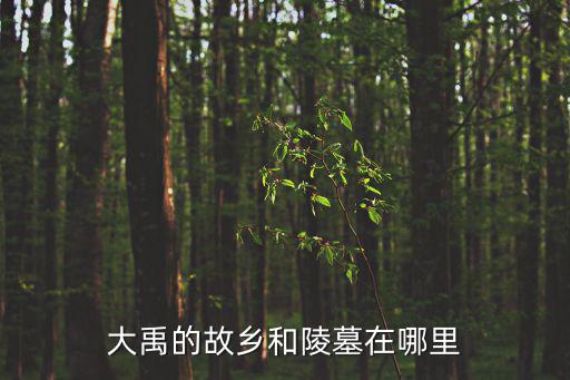 大禹的故鄉和陵墓在哪里
