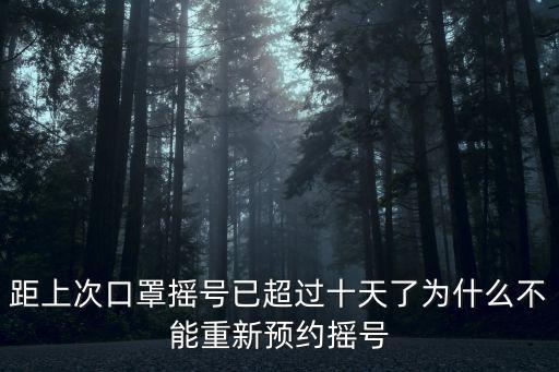 口罩搖號，口罩買多大號