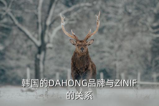 韓國的DAHONG品牌與ZINIF的關(guān)系