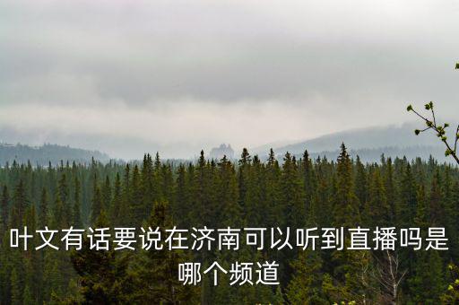 濟南新聞綜合頻道在線直播，濟南新聞頻道今晚特別點擊4月8號直播視頻